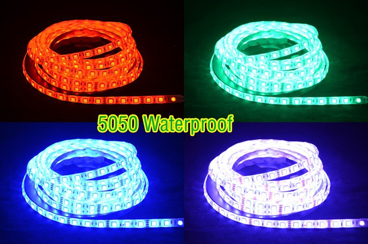 5m IP65 waterproof 5050 rgb led strip 12V 60 led m flexible light SMD RGB white warm white red blue green yellow led strips LS27