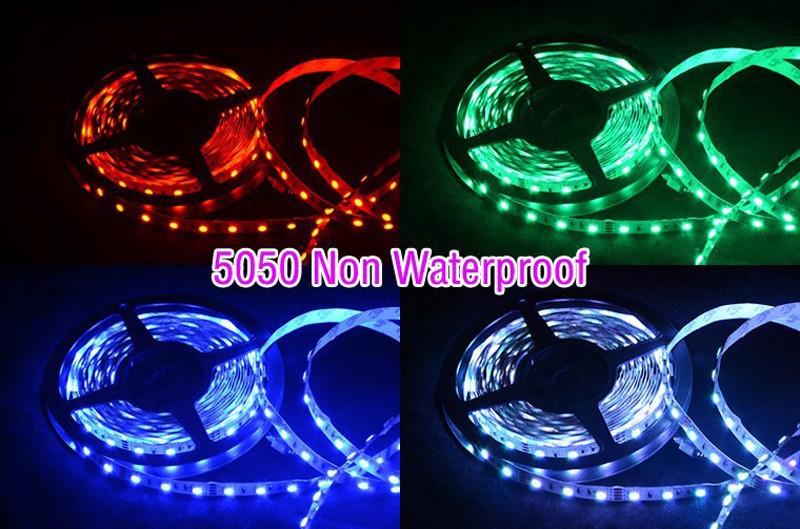 10M LED Strip 5050 30Leds m 3528 3014 60Leds m DC12V Waterproof SMD Strips Light +5A Transformer White Warm white Red Green LS31