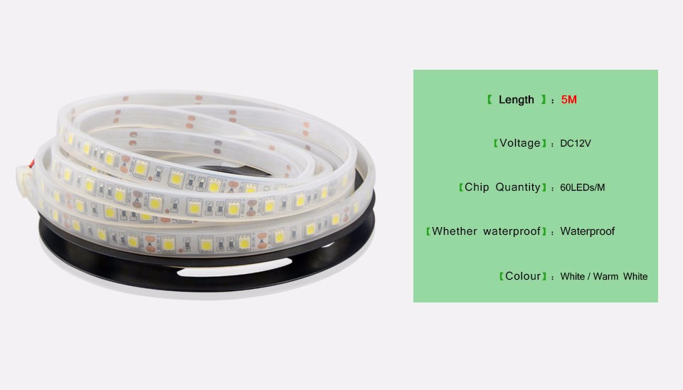 5m 12V IP67 Tube waterproof LED Flexible waterproof casing Strips 60LED m SMD 5050 White Outdoor underwater decoration