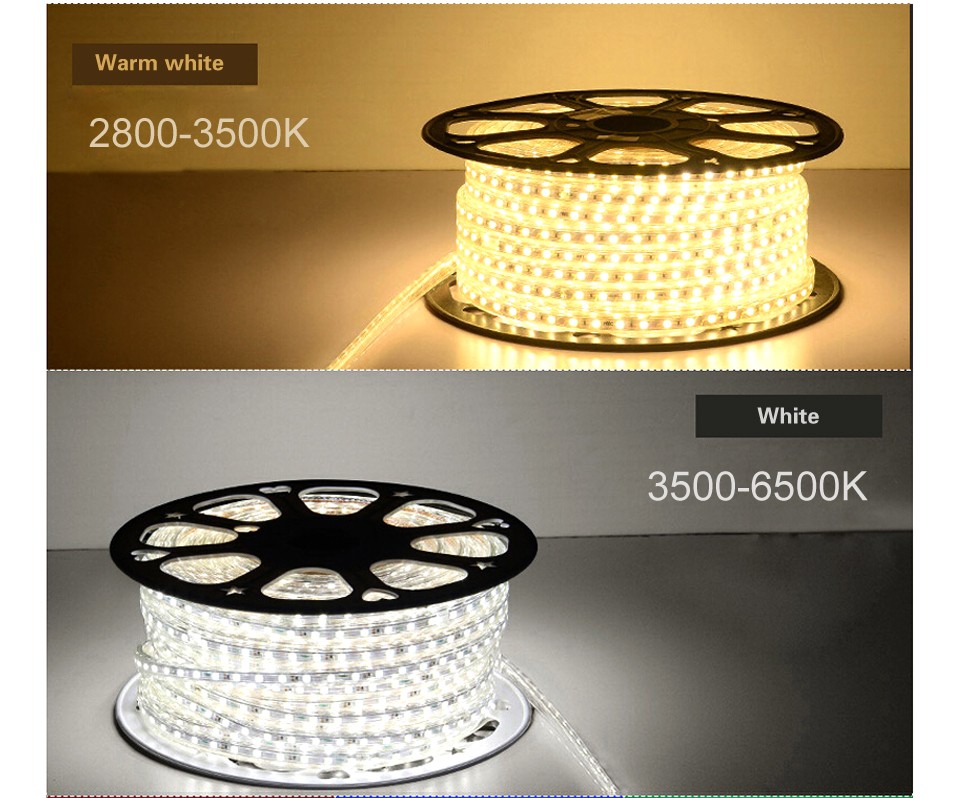 220V Waterproof SMD 5050 1m 25m led tape flexible led strip light with EU plug RGB with remote control outdoor lighting