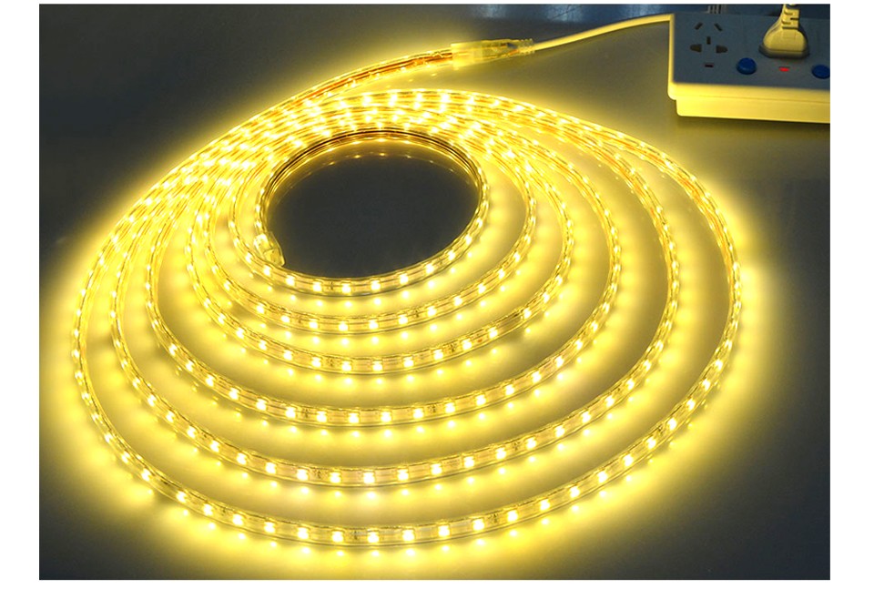 220V Waterproof SMD 5050 1m 25m led tape flexible led strip light with EU plug RGB with remote control outdoor lighting