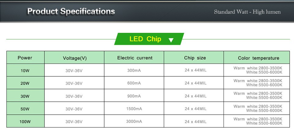 Full Power 10W 20W 30W 50W 100W LED Lamp Integrated COB LED Chips Bulb IP67 Led Driver LED flood light power supply