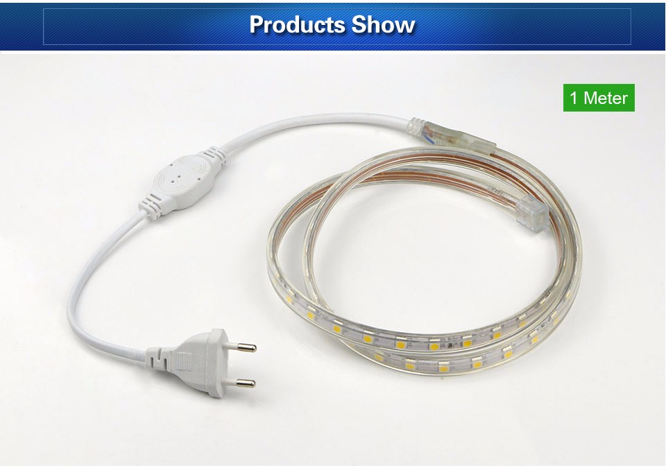 5050 LED Strip light lamp Tape 220V 60leds M IP67 waterproof outdoor garden tape rope light white warm white EU Power plug