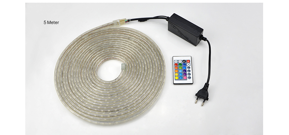 220V 5050 SMD RGB LED Strip light Waterproof LED String light 24 key RGB remote Control Holiday outdoor decor lamp 5m 10m 15m