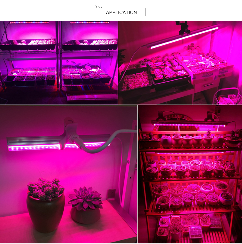 25W 85 265V 110V 220V EU plug switch LED Grow light plants Growth lamp Bar light 660nm Red 450nm Blue bulb For Flower fruit