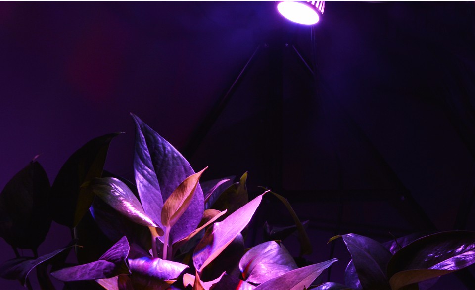 4pcs lot 85 265V 110V 220V LED Bulb Full Spectrum LED Plant Grow light E27 Growing lamp for Flower Hydroponics Outdoor Lighting