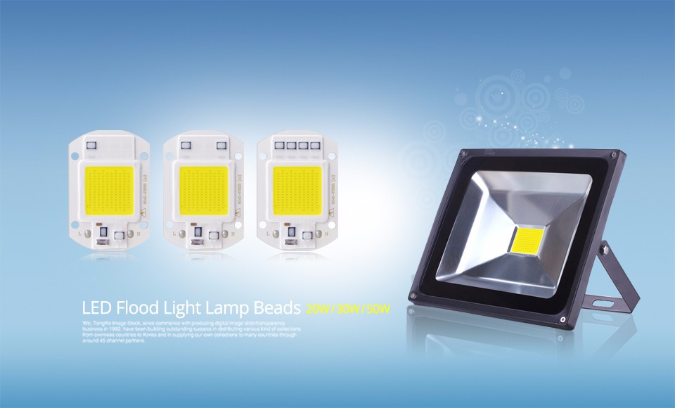 LED COB Chip Bulb chip 20W 30W 50W 220V Power Supply IP65 Smart IC integrated Driver for flood light Floodlight Spotlight