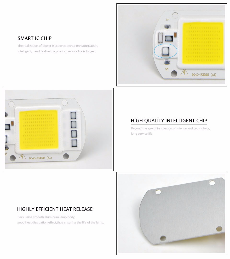 LED COB Chip Bulb chip 20W 30W 50W 220V Power Supply IP65 Smart IC integrated Driver for flood light Floodlight Spotlight