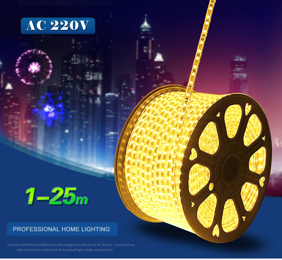5Color 5050 SMD 220V LED Silicone Tube Strip light lamp Christmas Wedding Party Festival WaterProof Decor Holiday EU Power Plug