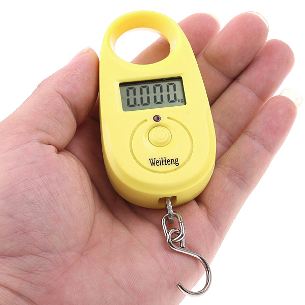 25kgx5g Mini Digital Scale Portable Hanging Luggage Scale Accurate Fishing Weighing Scale Pocket Weighing Balance LCD Display