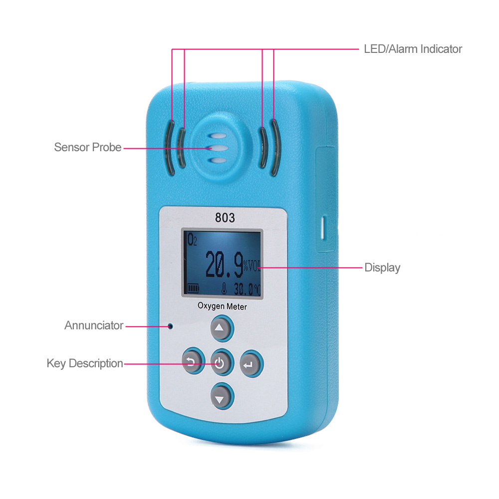 Fine Oxygen(O2) Concentration Detector Mini Oxygen Meter Gas Analyzer with LCD Display and Sound light Alarm for Home Security